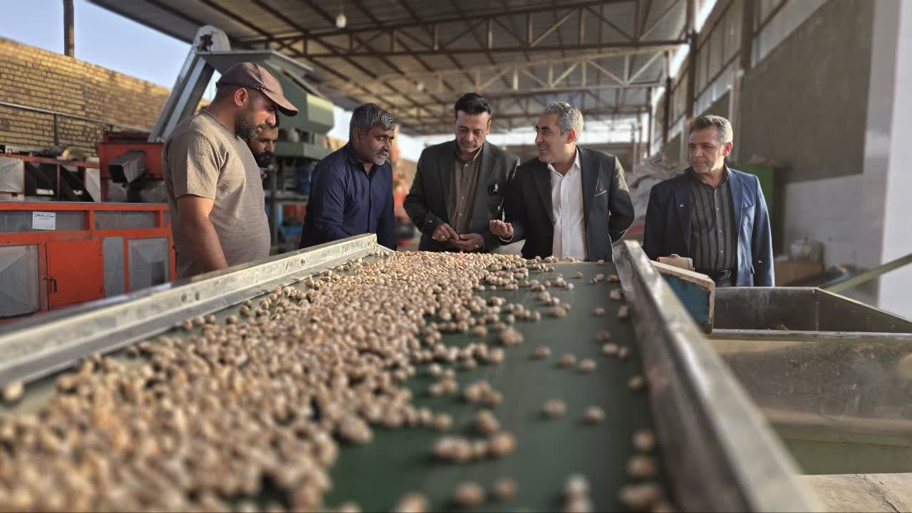 بازدید فرماندار فردوس از ترمینال ضبط و فرآوری پسته طاهری