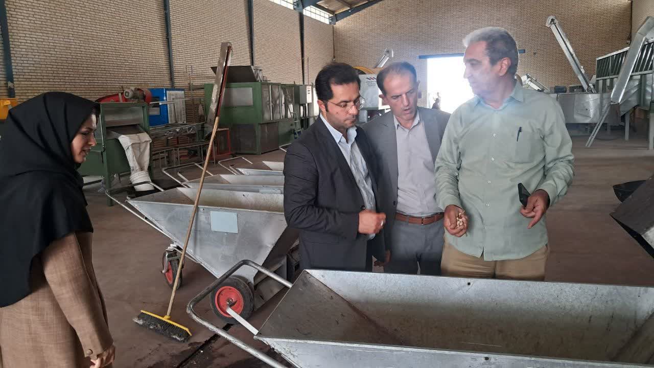 بازدید فرماندار بشرویه از ترمینال‌های ضبط و فرآوری پسته شهرستان