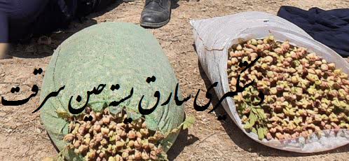 سارق هنگام سرقت پسته در "فردوس" دستگير شد فرمانده